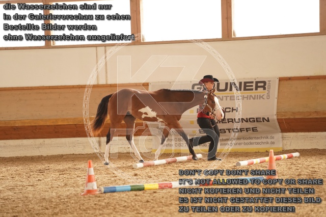 s_A_901215.JPG